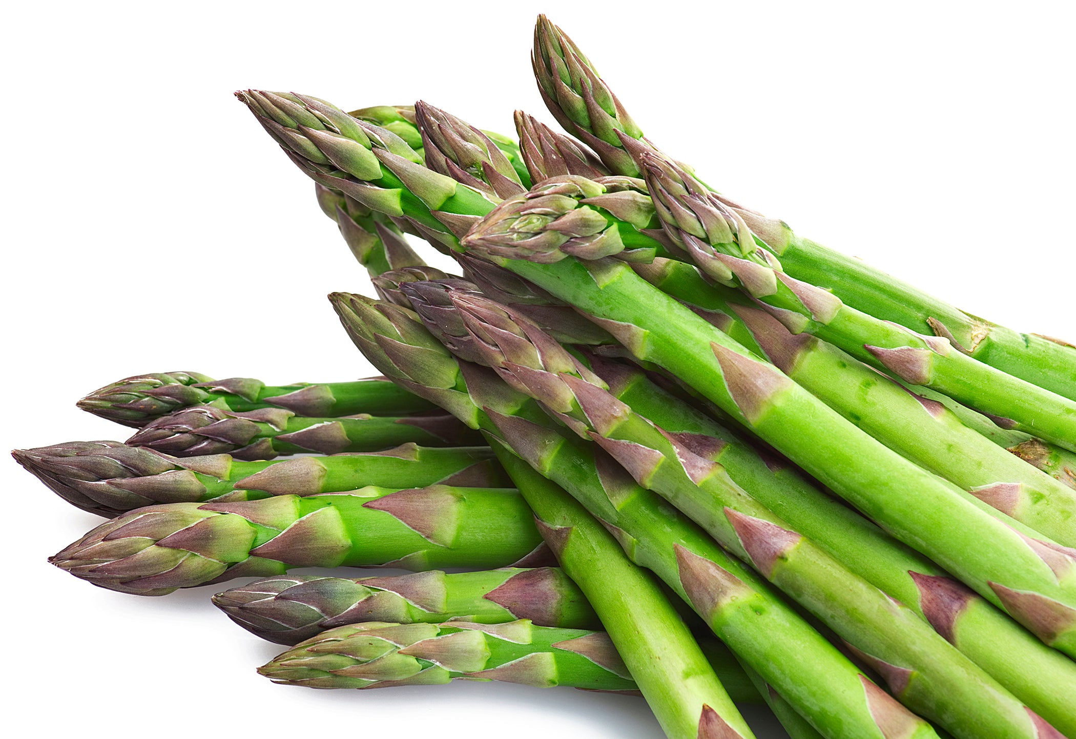 Asparagus Mary Washington (3pack) The Gilded Greenhouse