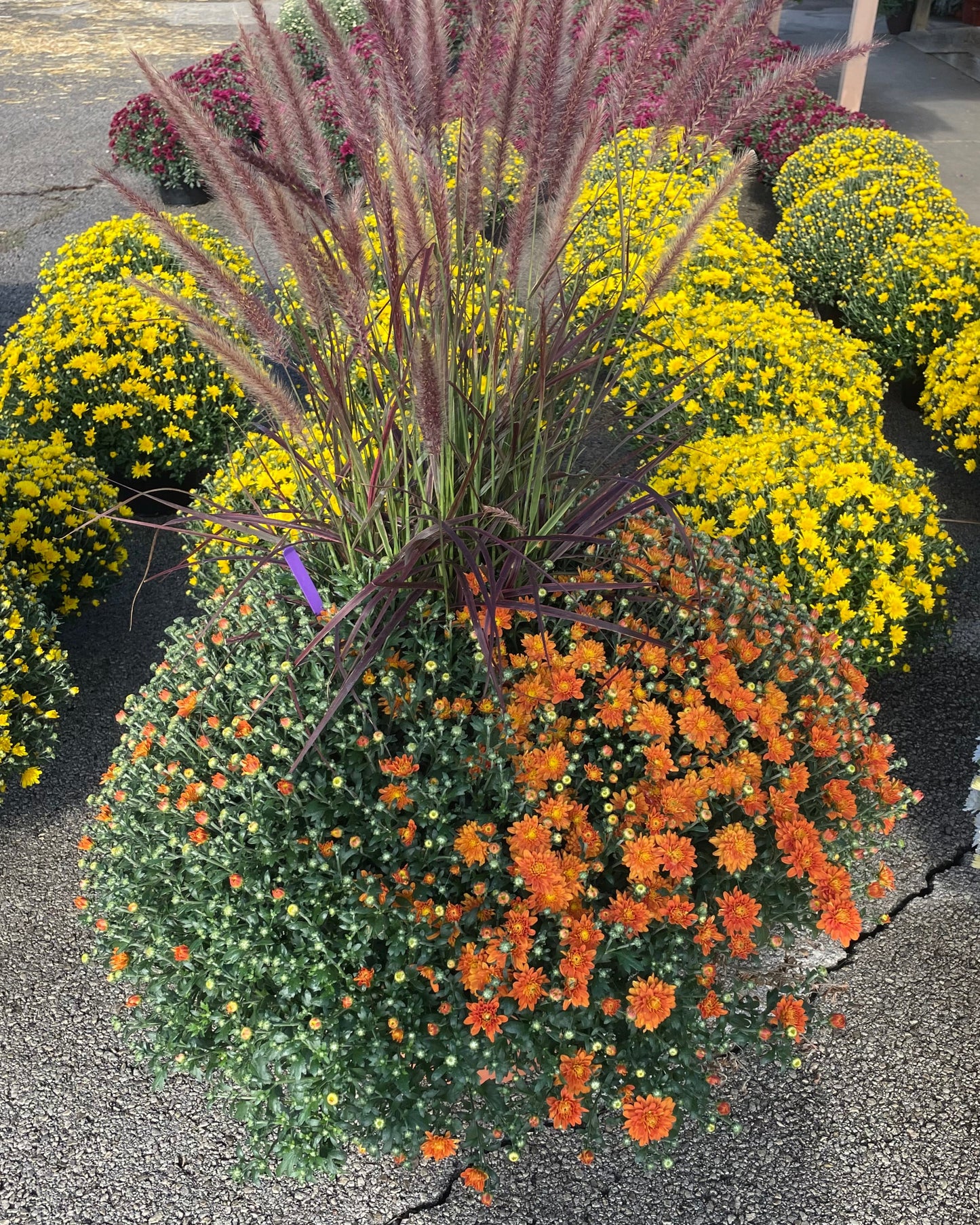 14" Grassy Planter