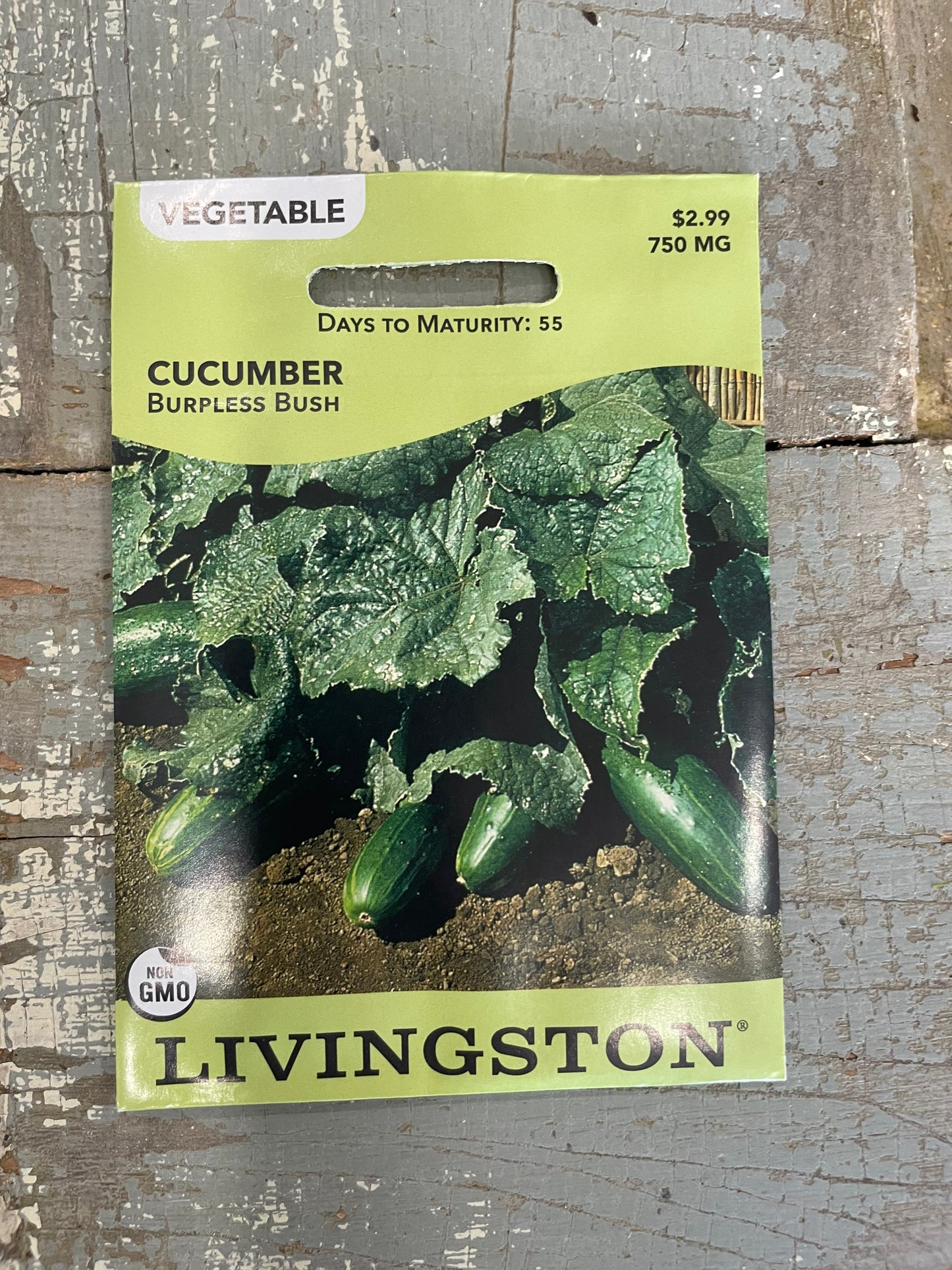 Cucumber - Burpless Bush