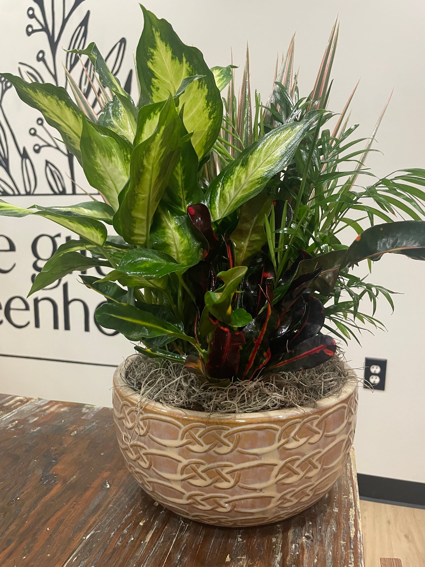 10" Dish Garden