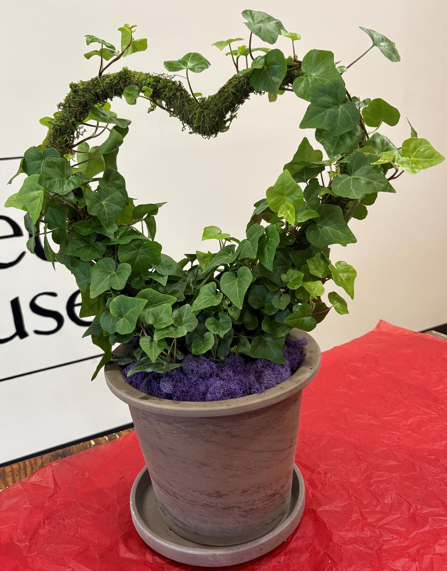 English Ivy Moss Heart