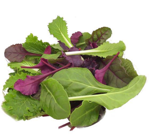 Lettuce Salad Blend (3-pack)