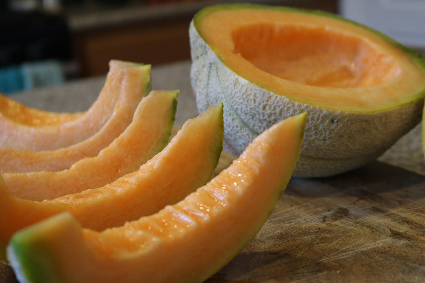 Muskmelon (Cantaloupe) Burpee Hybrid (3-pack)