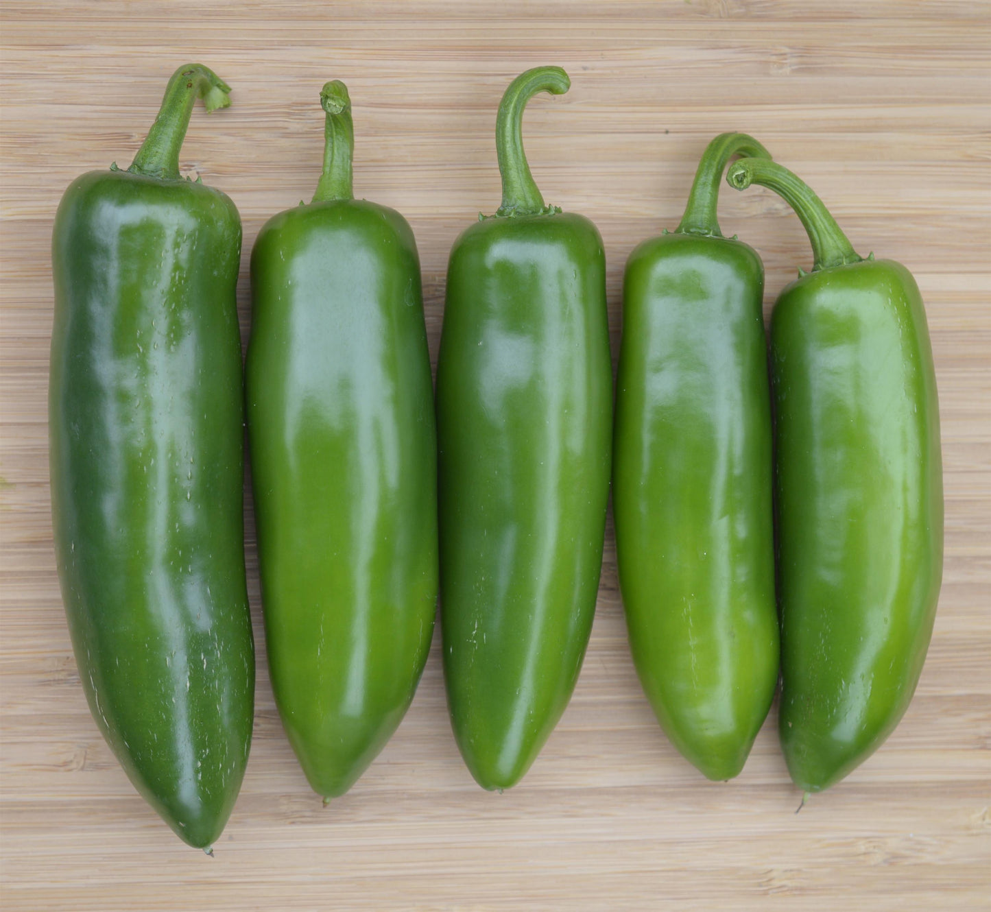 Pepper Tricked You (3.5" pot)