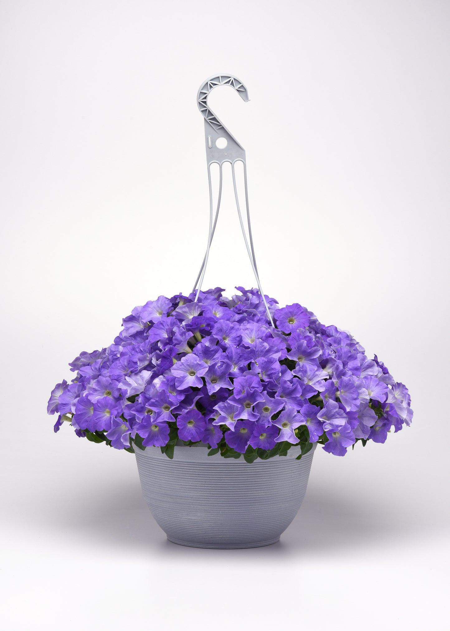 Petunia WAVE Blue Sky (5" pot)