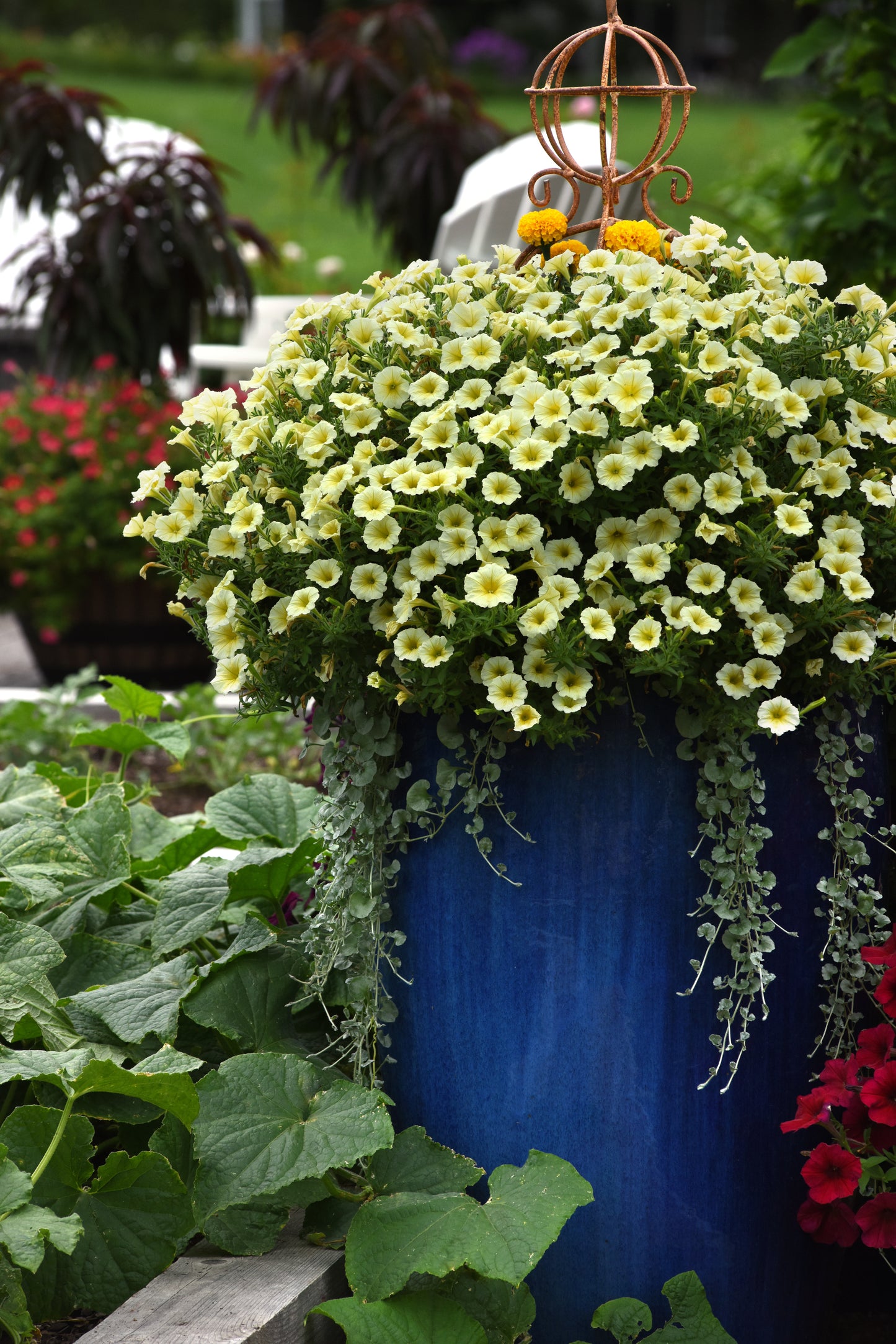 Petunia WAVE Yellow (5" pot)