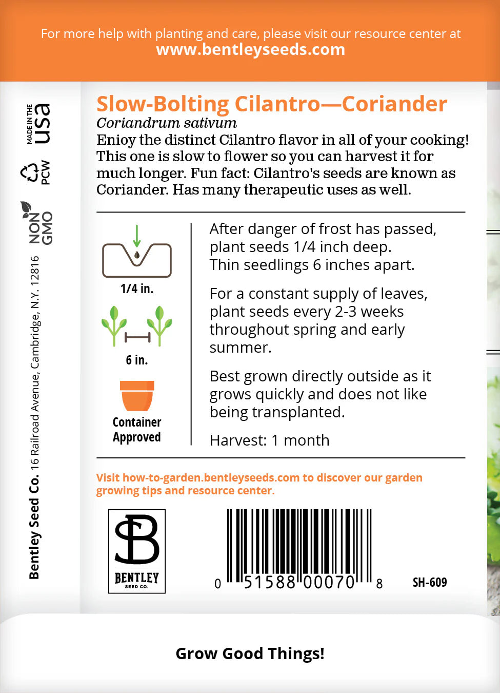 Cilantro - Slow Bolting, Corriander