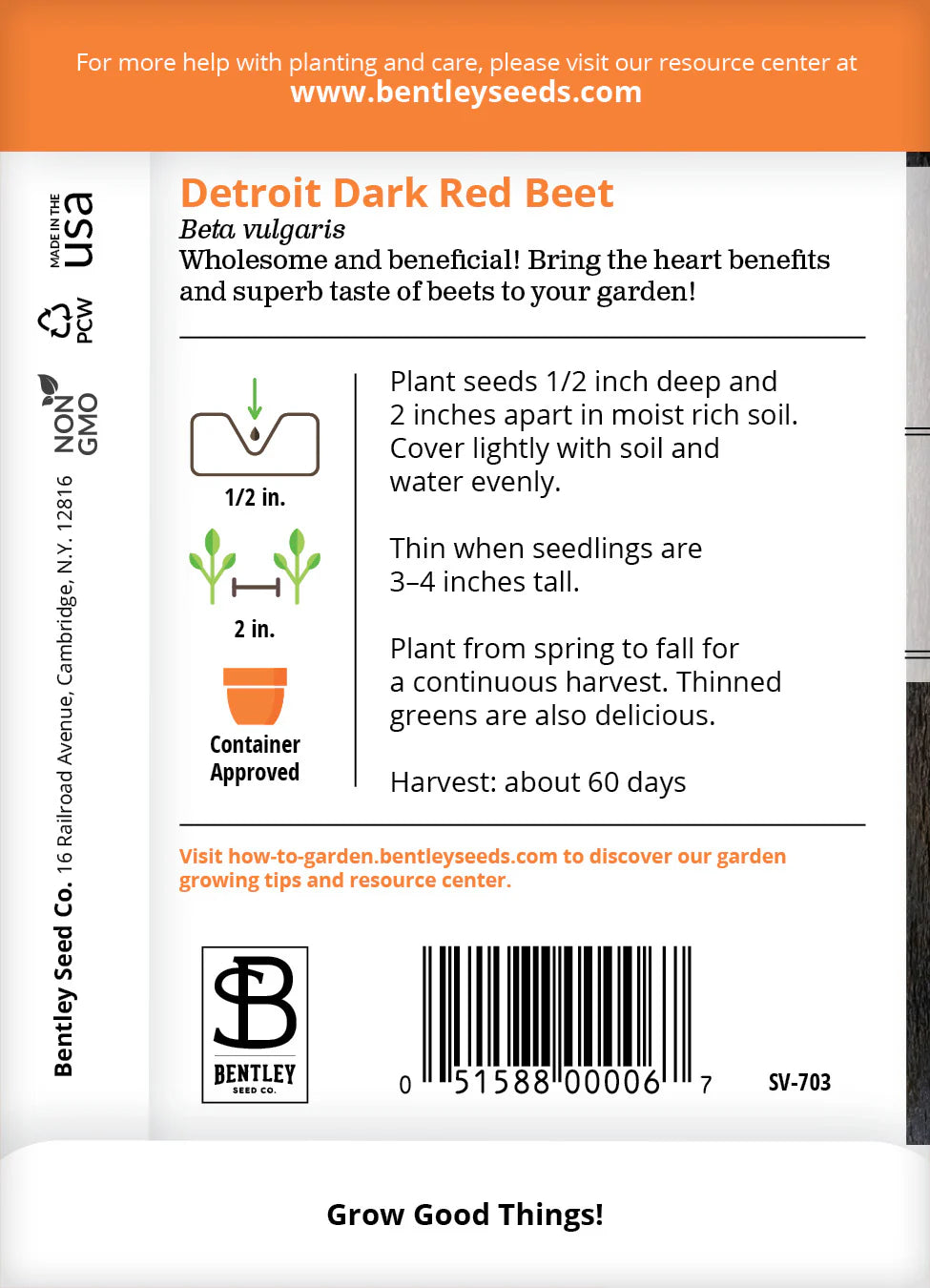 Beet - Detroit Dark Red
