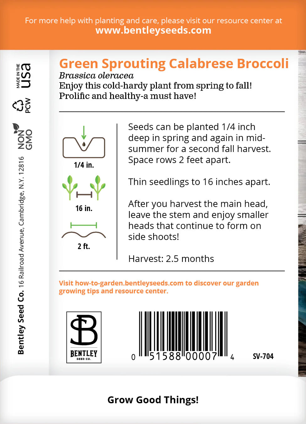 Broccoli - Green Sprouting Calabrese