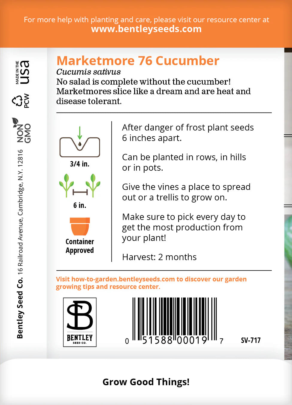 Cucumber - Marketmore 76