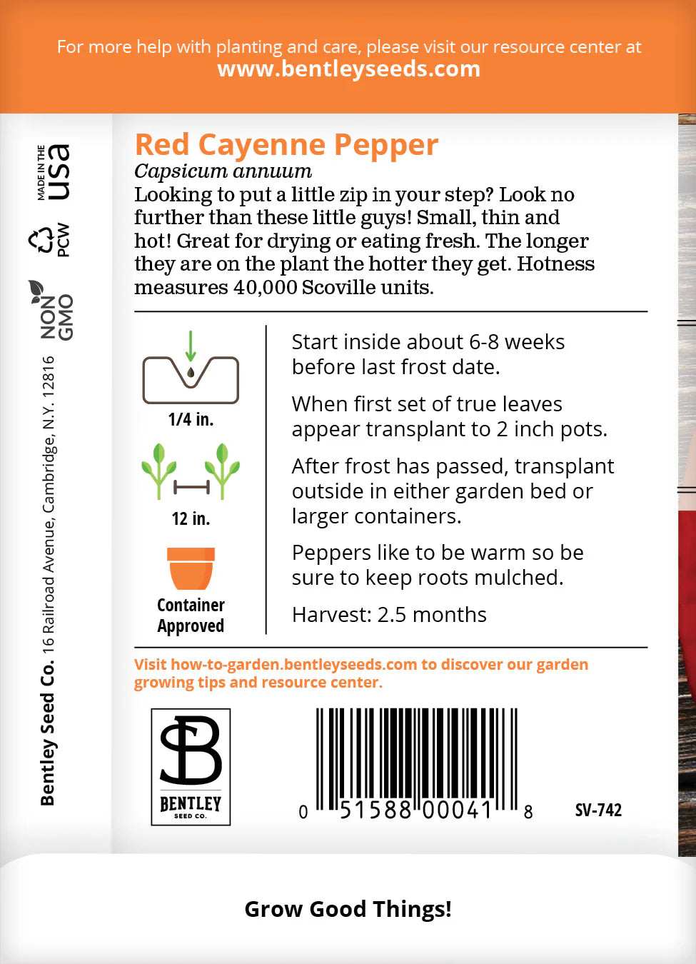 Pepper - Cayenne, Long Red Thin