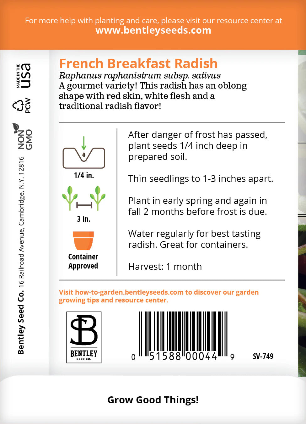 Radish - French Breakfast