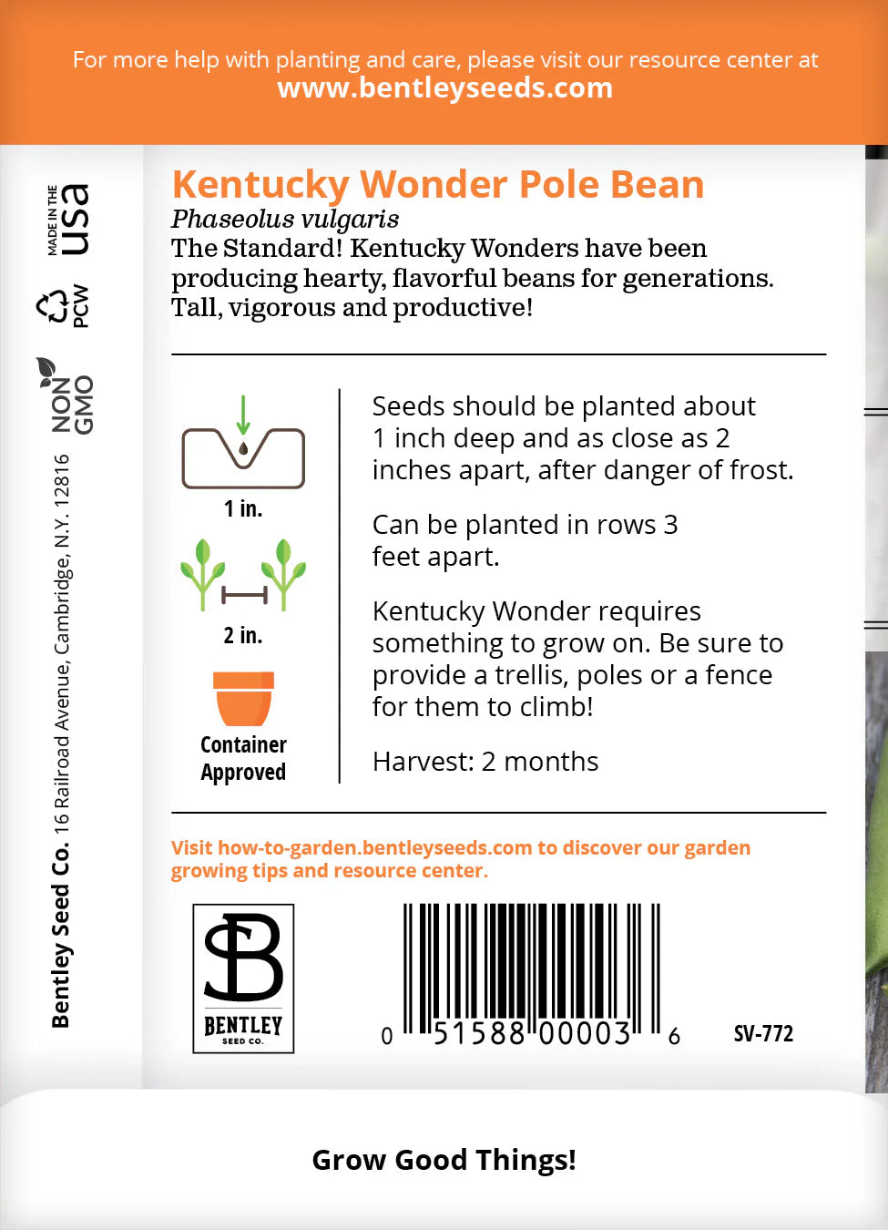 Beans - Kentucky Wonder Pole Bean