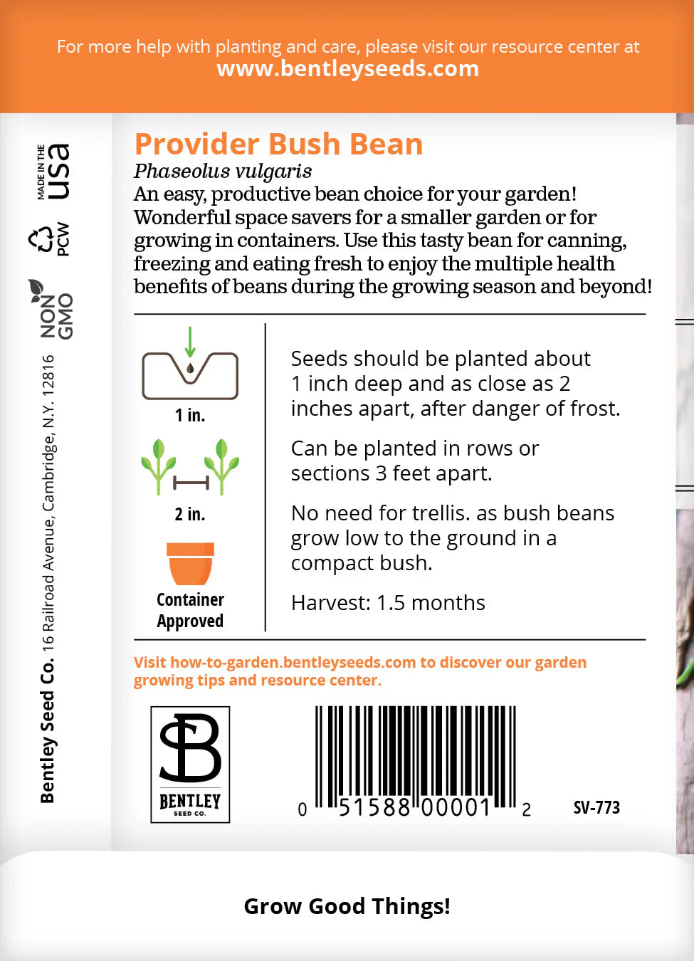 Beans - Provider Bush Bean