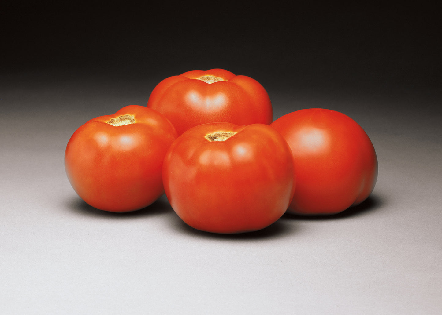 Tomato Better Bush (6" pot)