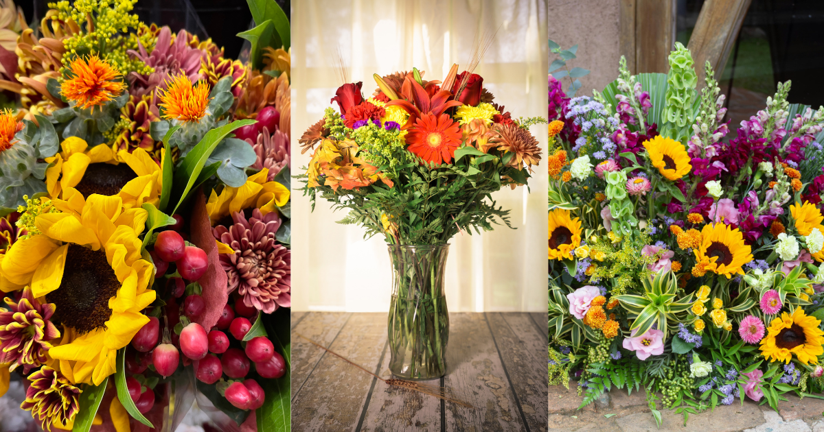 Fall Designer's Choice Premium