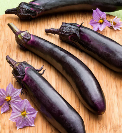 Eggplant Ichiban (3-pack)