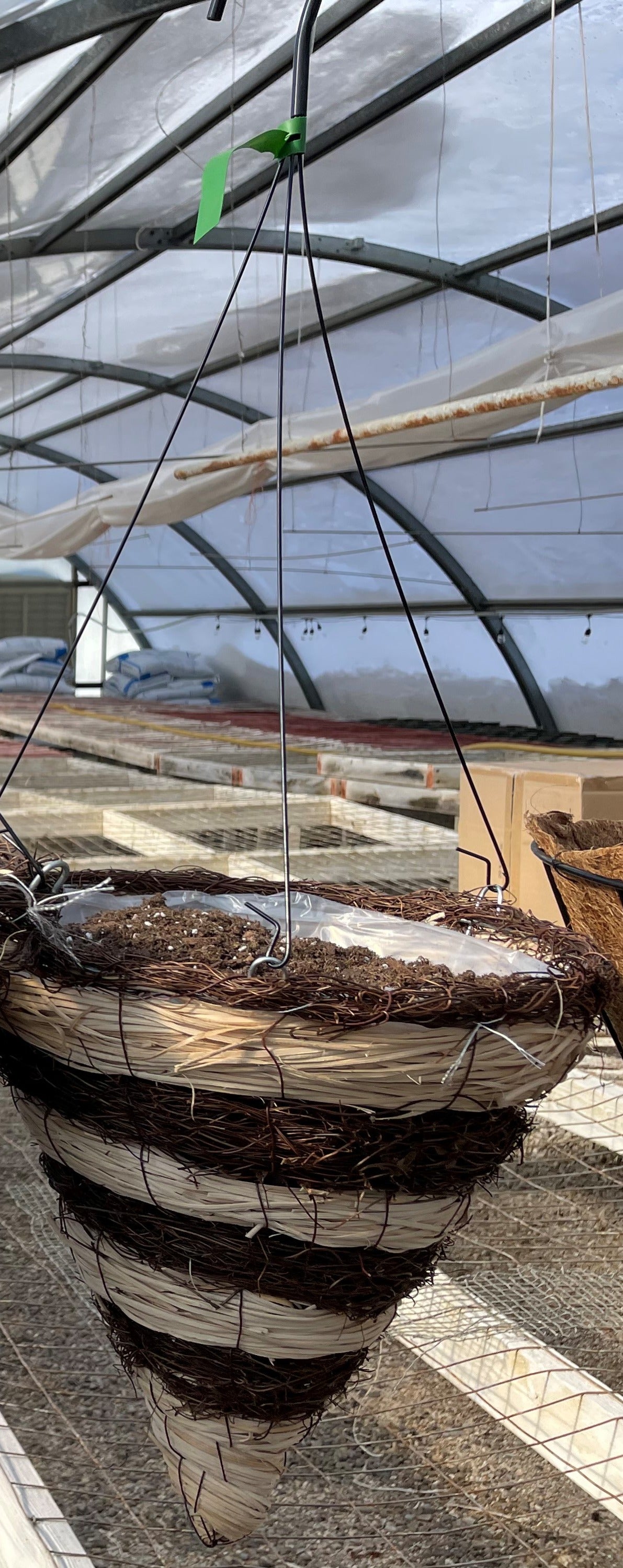 Hanging Basket - GREEN TAG - Black Metal with Coco Mat