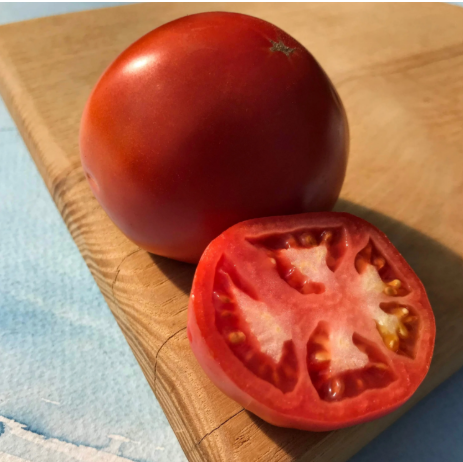 Tomato Rutgers VF (3-pack)