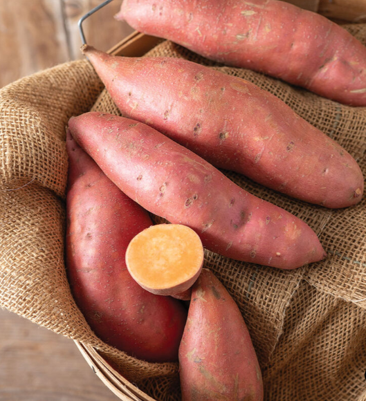 Sweet Potato (3.5" pot)