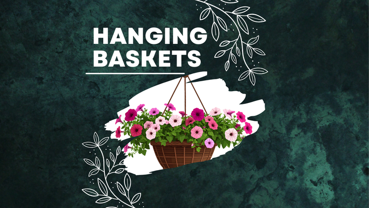 Hanging Baskets