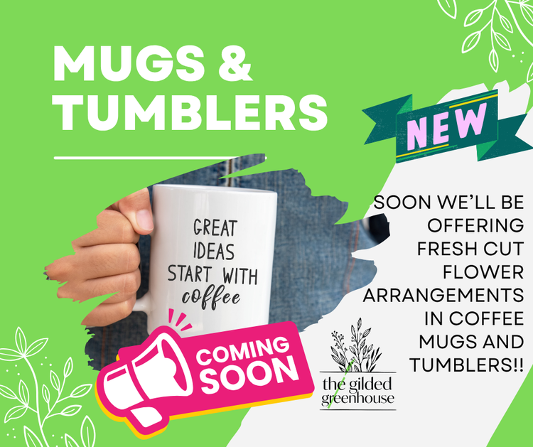 Mugs & Tumblers