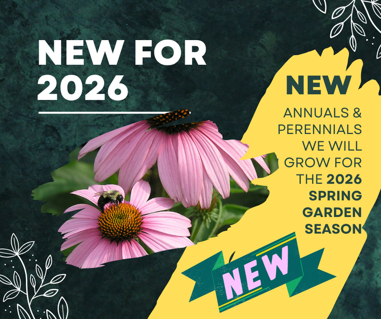 NEW for 2026 season