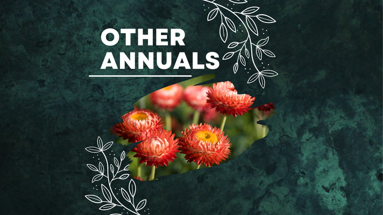 All Other Annuals!