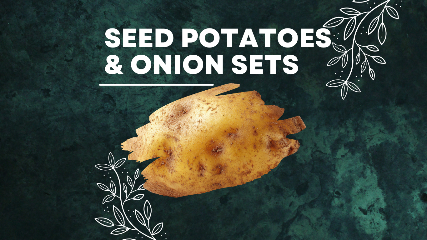 Seed Potatoes & Onion Sets