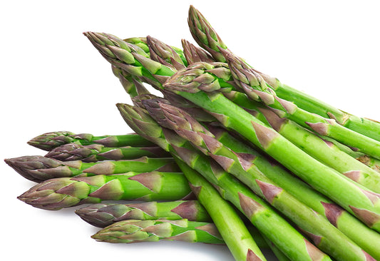 Asparagus Mary Washington (3-pack)
