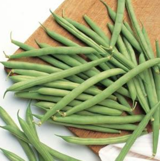 Beans Bush (3-pack)