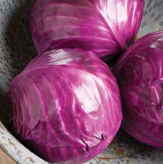 Cabbage Ruby Perfection (3-pack)