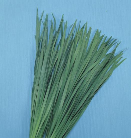Herb Chives (3.5" pot)