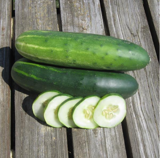 Cucumber Marketmore (3-pack)