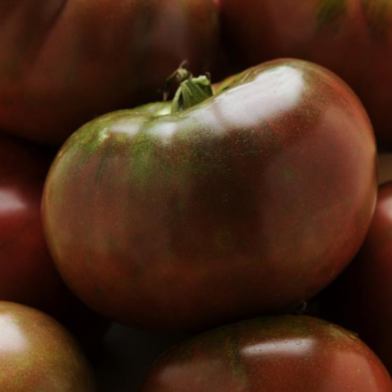 Heirloom Tomato Black Krim (3.5" pot)