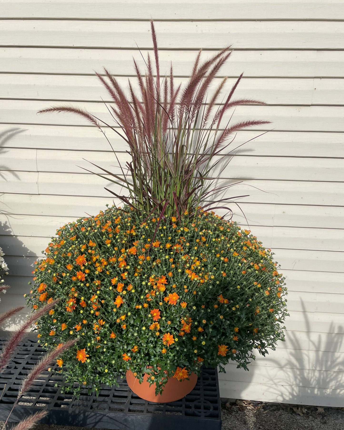 14" Grassy Planter