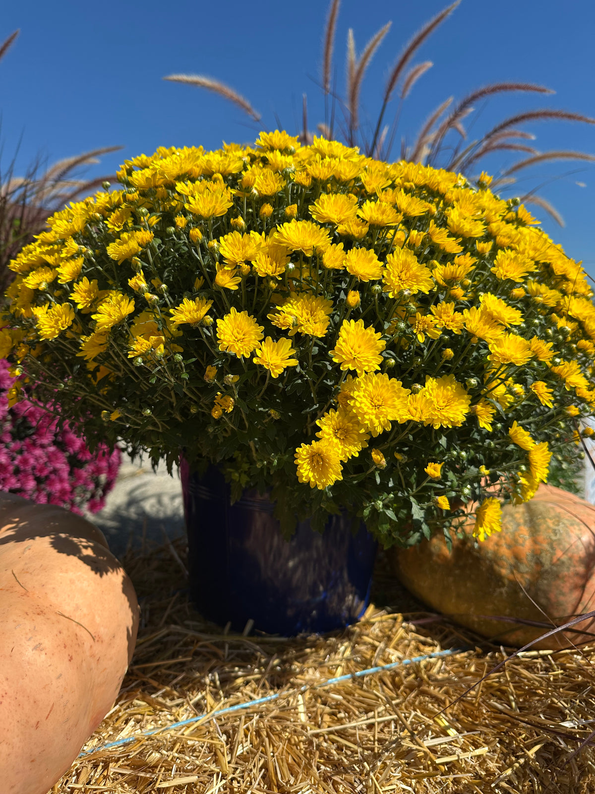 Metal Pot Cover - 9" mum