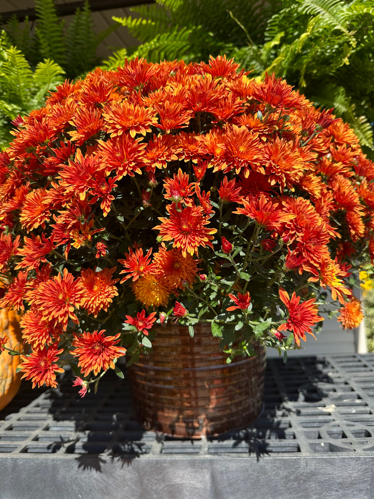 Metal Pot Cover - 9" mum