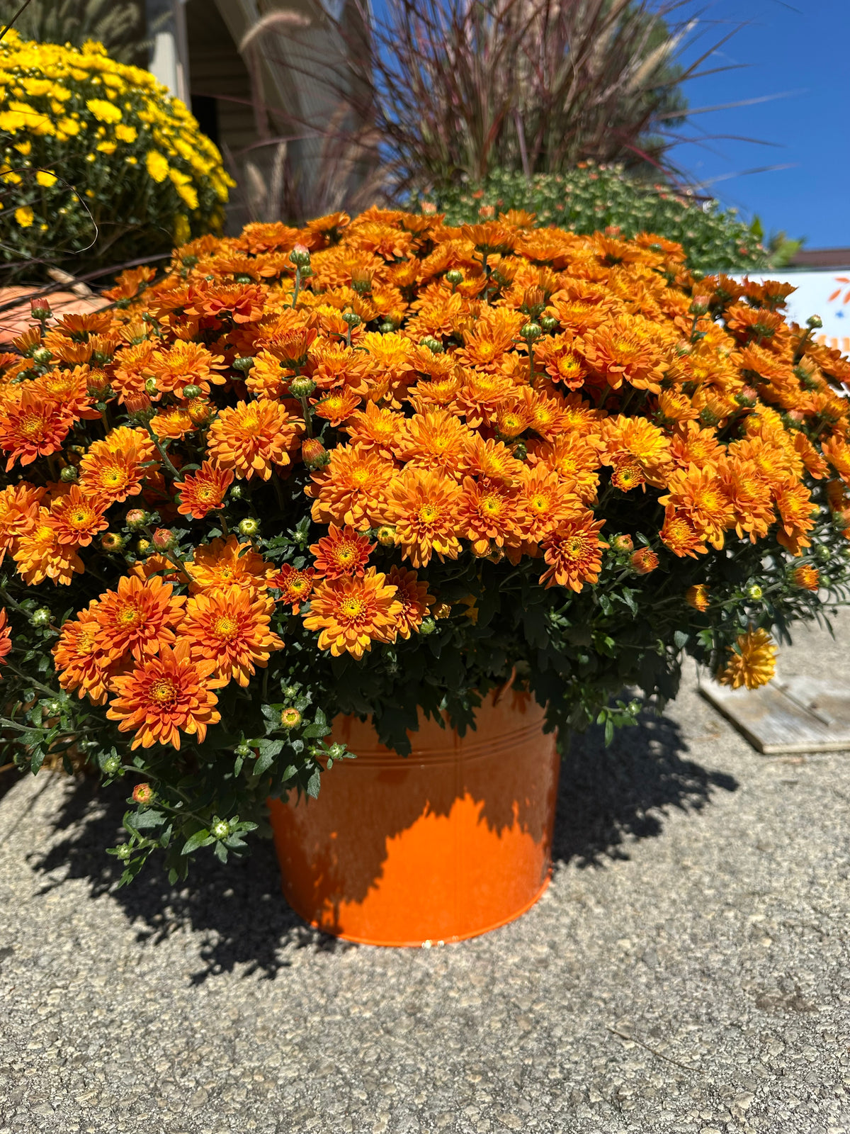 Metal Pot Cover - 9" mum