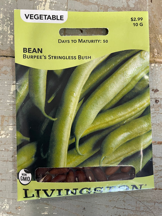 Green Bean - Bush - Burpee's Stringless
