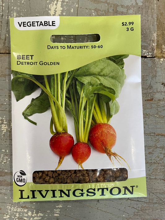 Beet - Detroit Golden