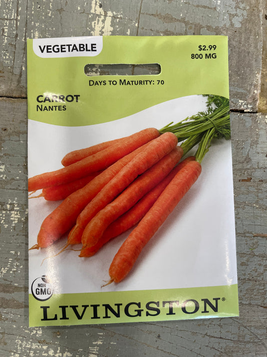 Carrot - Nantes