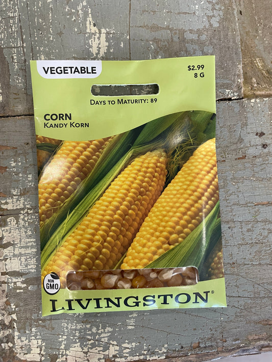 Corn - Kandy Korn