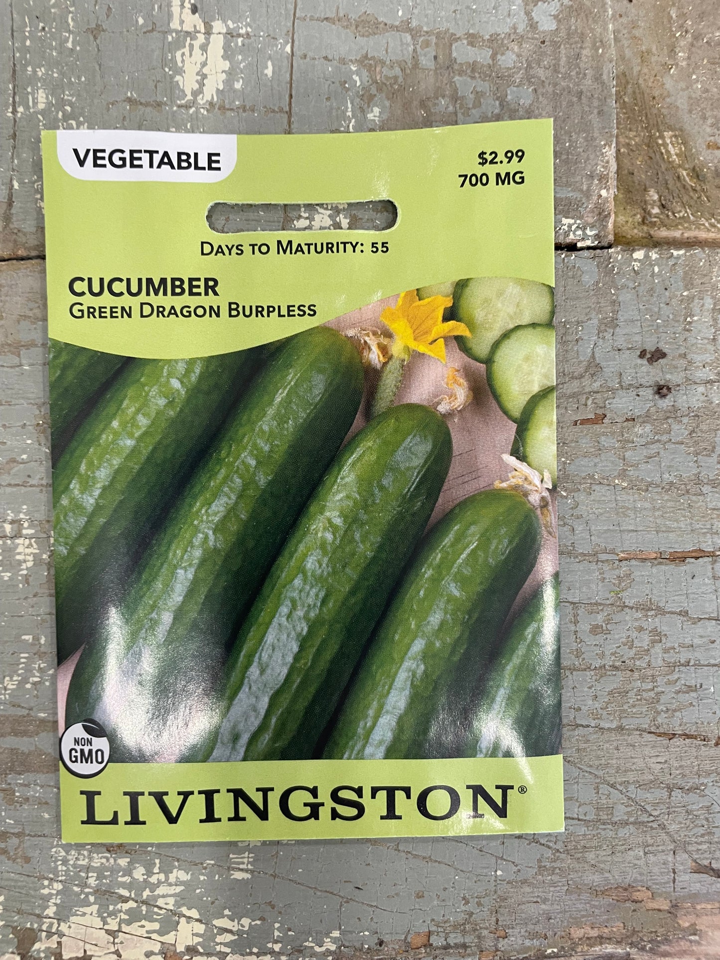 Cucumber - Green Dragon Burpless