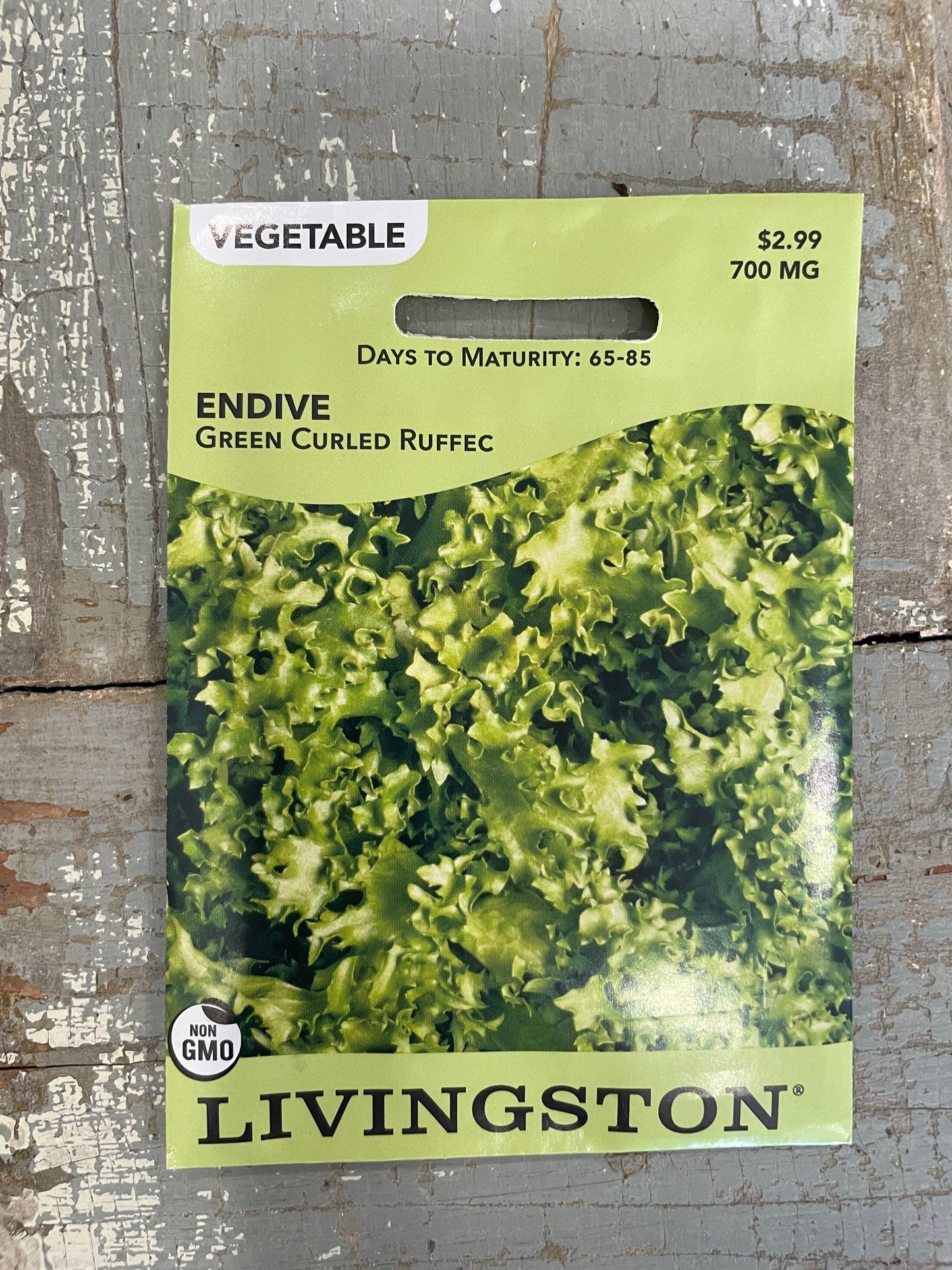 Endive - Green Curled Ruffec