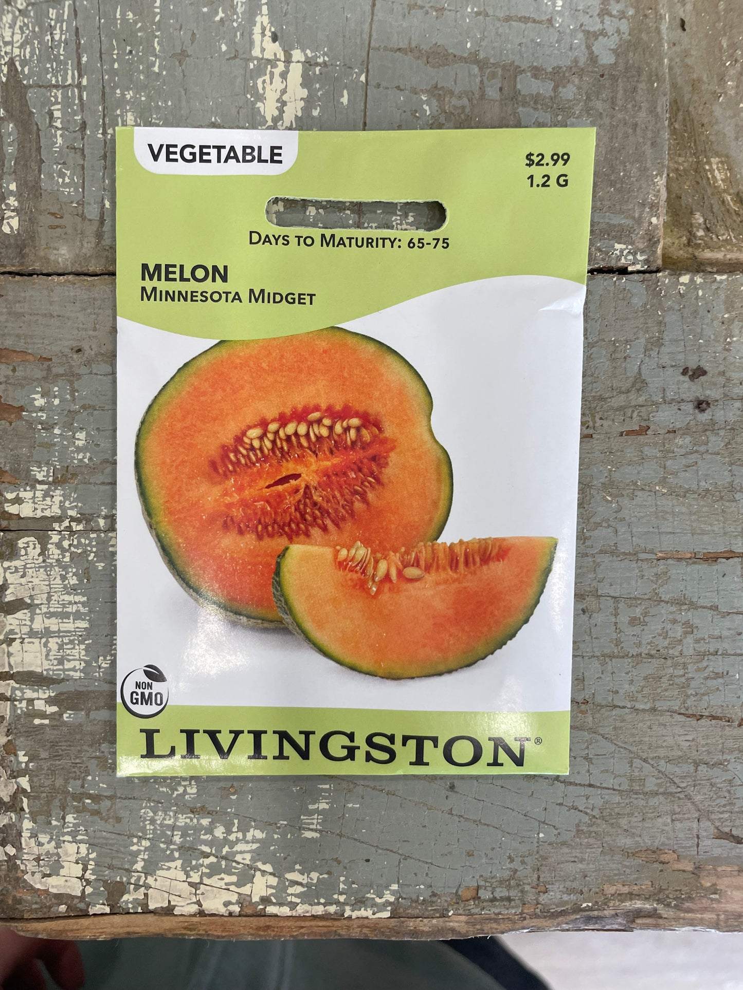 Melon - Minnesota Midget