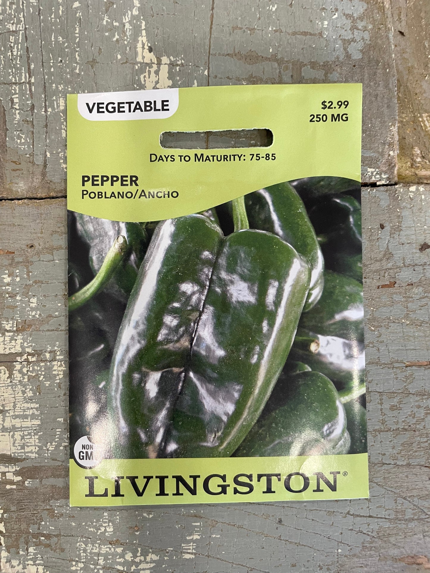 Pepper - Poblano Ancho
