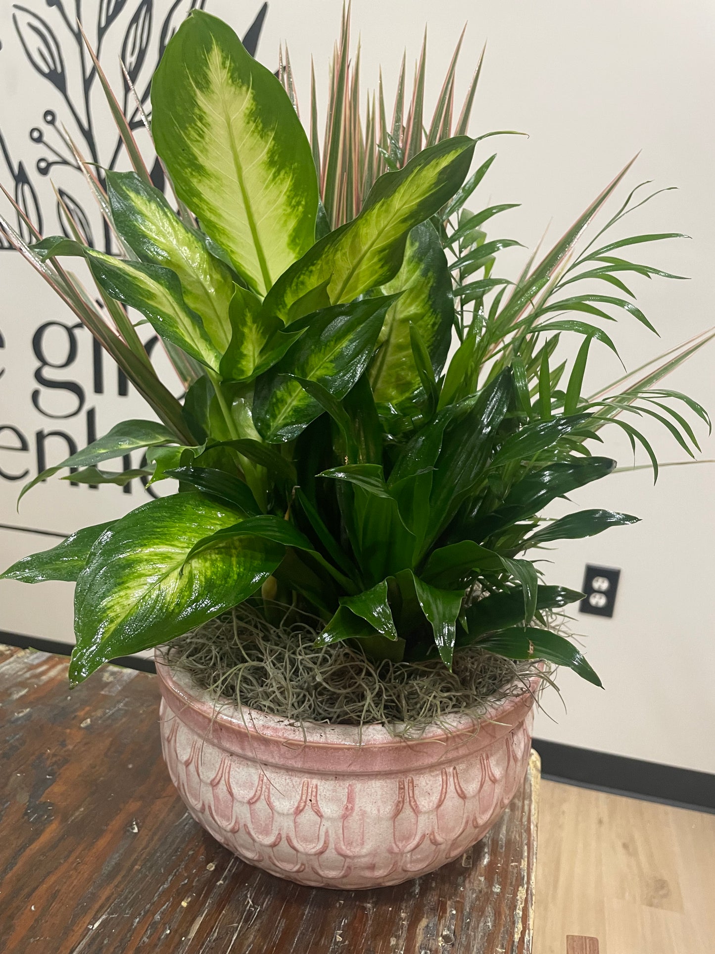 10" Dish Garden