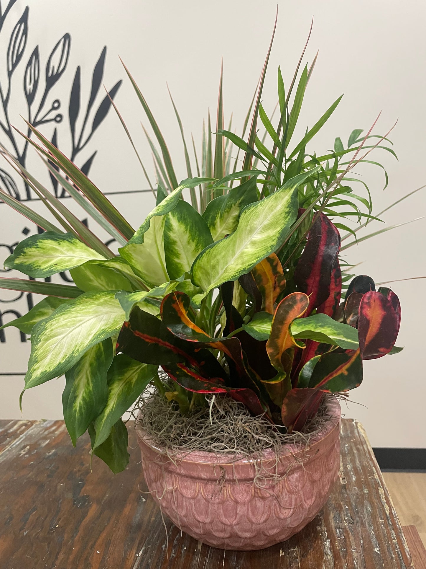 8" Dish Garden