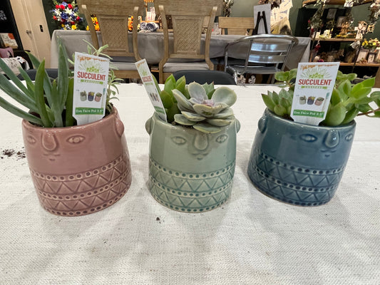 Eva Face Pot Succulent Garden
